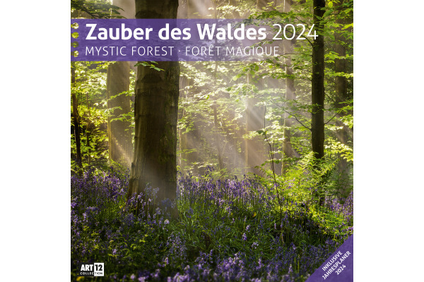 ACKERMANN Bildkalender 2025 4511 Zauber des Waldes ML 30x30cm