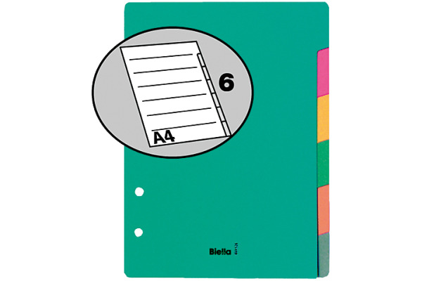 BIELLA Kartonregister A5 46052600U pastell 6-teilig