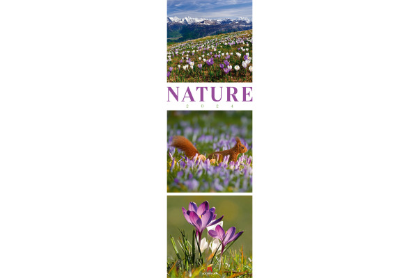 ACKERMANN Bildkalender 2025 2556 Nature ML 33x100cm