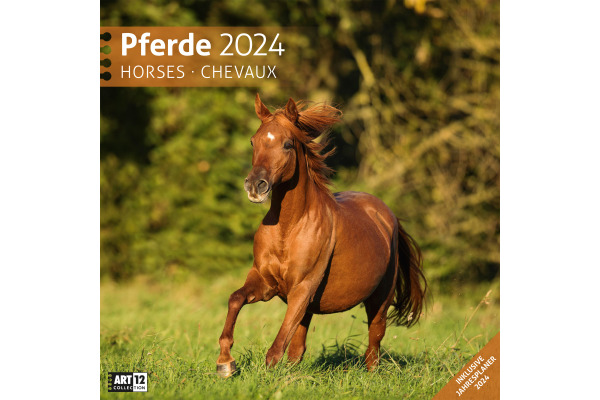 ACKERMANN Bildkalender 2025 4521 Pferde ML 30x30cm