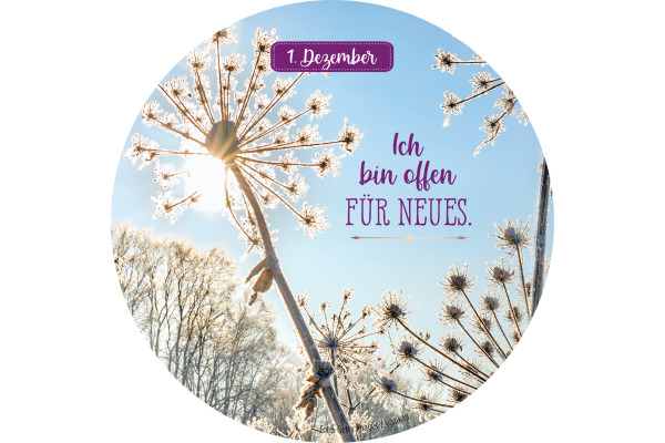 ARS EDITI Adventskalender Dose 135416 24 Dankbarkeitsmantras