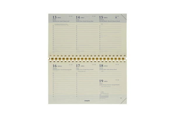 BREPOLS Agenda Omniplan Ersatz 2025 26.3.0228 1W/2S chamois 9x16cm