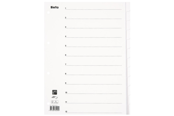 BIELLA Kartonregister A4 46541201U weiss 12-teilig