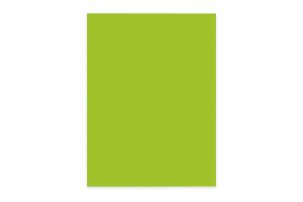 ELCO Office Color Papier A4 74616.62 80g, grün 100 Blatt