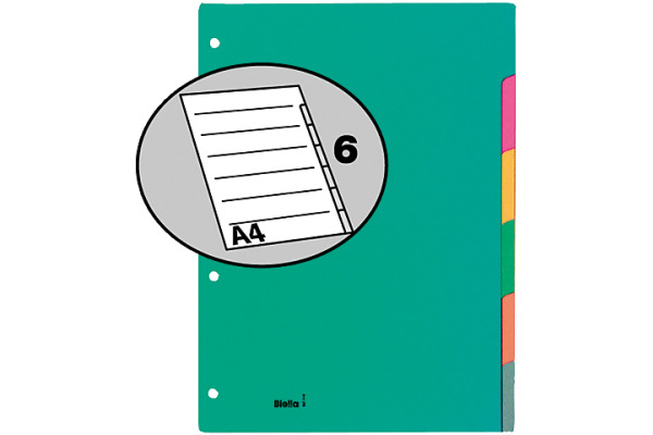 BIELLA Register Karton farbig A4 46044600U 6-teilig, blanko